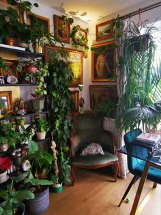 a room filled with lots of potted plants and pictures on the wall next to a chair