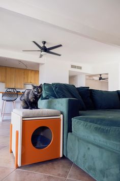 a cat sitting on top of a green couch