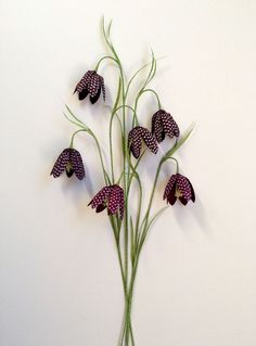 three purple flowers with green stems on a white wall behind them are the same type of flower