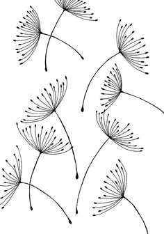 black and white drawing of dandelions on a white background