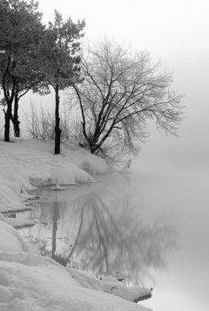 trees and snow on the shore of a body of water in black and white photo