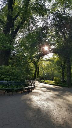 the sun shines brightly through the trees on this park bench lined with bushes and trees