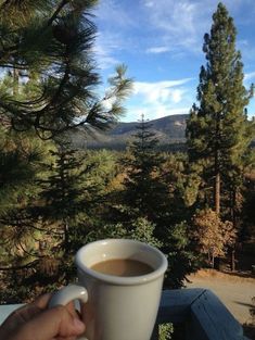 a person holding a cup of coffee in front of some pine trees and the mountains