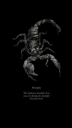 a black and white drawing of a scorpion on a dark background with the words scorpion written below it