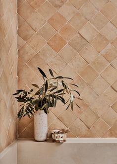 a potted plant sitting on top of a bath tub next to a tiled wall