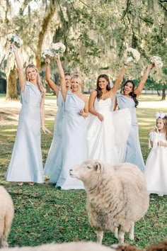 a group of women in white dresses standing next to each other with sheep and trees behind them