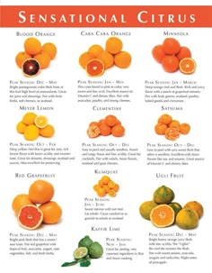 oranges and lemons are shown in this poster, which includes the names of different citrus