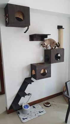 a cat is sitting on top of a cat tree in the corner of a room