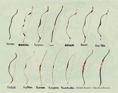 the different types of bows used in archery