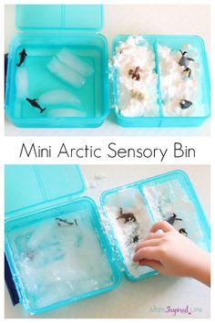 an ice tray filled with water and small plastic containers full of different types of sea animals