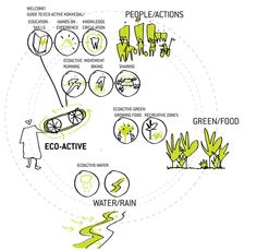 a diagram showing the different types of plants and how to use them