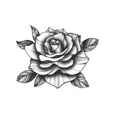 a black and white drawing of a rose