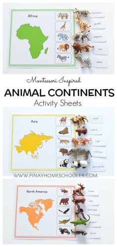 an animal continent activity sheet with animals and their names