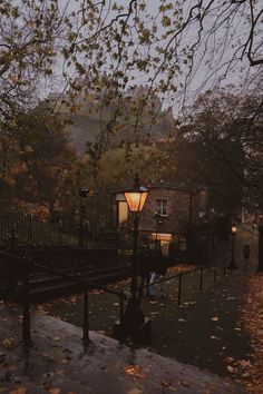 a street light sitting next to a tree with leaves on the ground in front of it