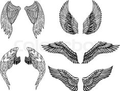 six different angel wings in black and white - miscellaneous objects / artsy things on artnetrave com