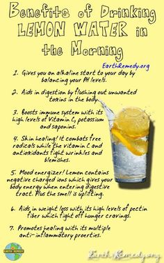 Need to stop by DT & get a jug so I can make this & leave in the fridge for the week. Lemon Water In The Morning, Healthy Hacks, Drinking Lemon Water, Water In The Morning, Lemon Water, Back To Nature, Tea Recipes, Healthy Eats