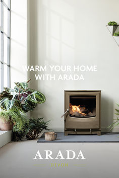 an advertisement for a home with a stove and potted plants in front of it