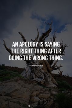 a tree with the words, an apoly is saying the right thing after doing the wrong thing