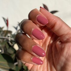 A cool-toned fig pink with a touch of lavender and grey. "This shade is so fun and just a little bit unexpected - it’s the best fig-y mauve-y color that’s sure to get you so many compliments." XO ES Long-lasting polish with salon quality results Applies smooth and streak-free in three strokes or less 7-Free: Our polish does not contain dibutyl phthalate (DBP), toluene, formaldehyde, formaldehyde resin, camphor, ethyl tosylamide, or xylene. Vegan & Cruelty-Free Butyl Acetate, Ethyl Acetate, Nitro Nails For Autumn, Pink Nail Colors, Mauve Nails, Simple Fall Nails, Olive Skin, Pink Nail, Nail Polish Designs, Chic Nails, Types Of Nails