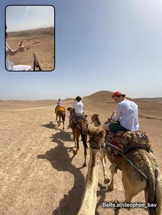 people riding camels in the desert on a sunny day