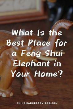 an elephant figurine with the words what is the best place for a ferg shu elephant in your home?