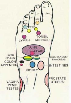 Autogenic Training, Reflexology Foot Chart, Foot Reflexology Massage, Reflexology Chart, Pressure Point, Reflexology Massage, Foot Reflexology, Acupressure Points, Alternative Health