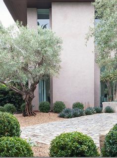 a house that has some trees in the front yard and bushes on the side of it