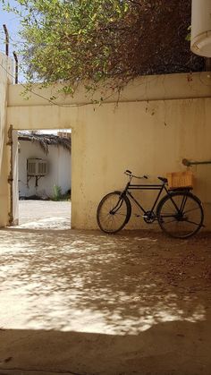 a bike parked next to a building under a tree