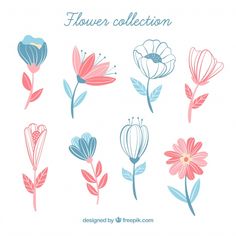 flower collection in pastel colors