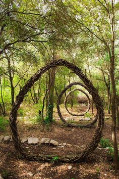 a circular sculpture made out of branches in the woods