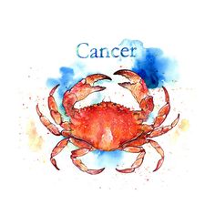 Crab Tattoo, Crab Art, Astrology Art, Zodiac Art, Sunday Dinner, Moon Child, Star Signs, Sea Creatures, Dinner Ideas