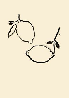 two lemons are drawn in black ink on a beige background