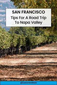 an image of a road with trees in the background and text that reads san francisco tips for a road trip to napa valley