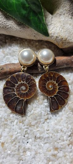 Ammonite Earrings, Fossil Collection, Ammonite Jewelry, Fossil Earrings, Opal Jewelry Set, Stone Necklaces, Fossil Jewelry, Ammonite Fossil, Future Wardrobe