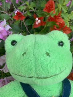 a green frog stuffed animal sitting in front of flowers