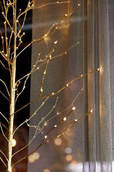 a small tree with some lights on it next to a sheered curtain and window