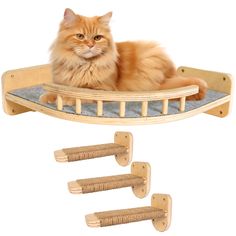 an orange cat laying on top of a wooden bed with three pieces of furniture around it