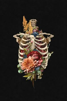 an image of a skeleton with flowers on it's chest and the ribcage