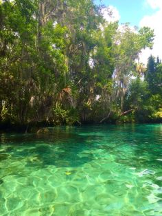 the water is crystal green and clear