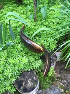 there is a metal sculpture in the middle of some plants and dirt on the ground