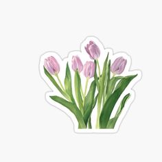 pink tulips sticker on white background with watercolor painting style flowers in the center