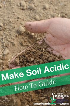 someone holding soil in their hand with the words make soil acidic how to guide