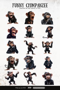 an image of monkeys with different expressions on their faces and hands, all in different poses