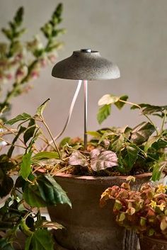 a lamp that is on top of a potted plant