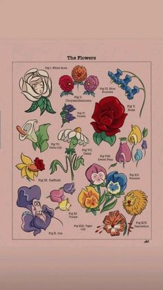 an image of flowers with the names and colors