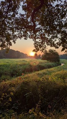 the sun is setting over an open field with trees and grass in front of it