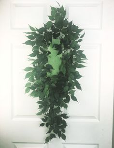 a white door with a green plant hanging from it's side