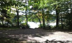 there is a picnic table in the middle of the woods by the water and trees