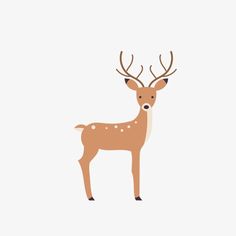 a deer with antlers on it's head standing in front of a white background