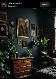 a bedroom with dark green walls and pictures on the wall, plants in potted planters